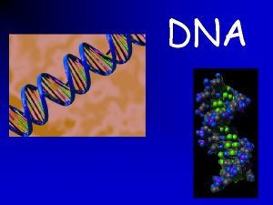 DNA Outline DNA background information Discovering DNA structure