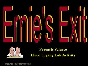 Forensic Science Blood Typing Lab Activity T Trimpe