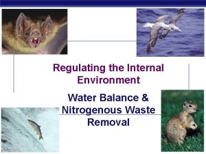 Regulating the Internal Environment Water Balance Nitrogenous Waste