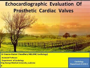 Echocardiographic Evaluation Of Prosthetic Cardiac Valves Thanks Dr