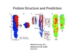 Protein Structure and Prediction Michael Strong Ph D