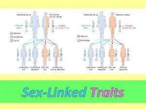 SexLinked Traits Color blindness is a trait that