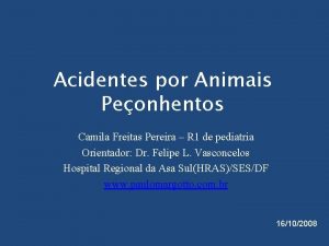 Acidentes por Animais Peonhentos Camila Freitas Pereira R