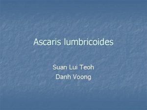 Ascaris lumbricoides Suan Lui Teoh Danh Voong Introduction