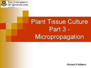 Plant Tissue Culture Part 3 Micropropagation Richard R