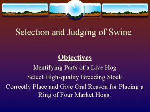 Selection and Judging of Swine Objectives Identifying Parts