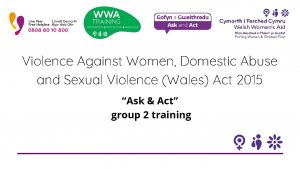 Violence Against Women Domestic Abuse and Sexual Violence