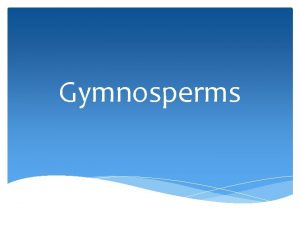 Gymnosperms Gymnosperms Similar to angiosperms in that they