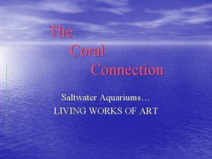 The Coral Connection Saltwater Aquariums LIVING WORKS OF