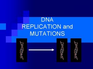 DNA REPLICATION and MUTATIONS DNA Replication n Replication