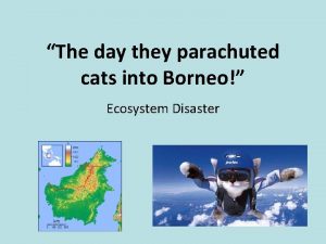 The day they parachuted cats into Borneo Ecosystem