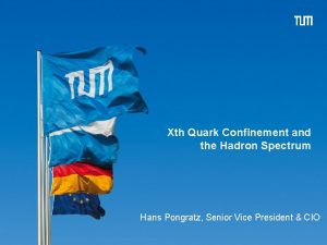 Xth Quark Confinement and the Hadron Spectrum Hans