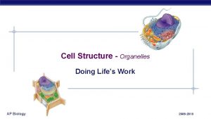Cell Structure Organelles Doing Lifes Work AP Biology