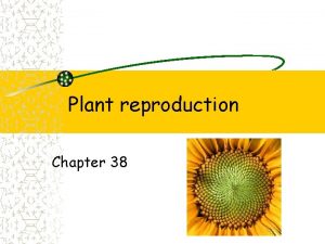 Plant reproduction Chapter 38 Fig 38 3 Plant