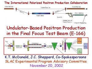 The International Polarized Positron Production Collaboration UndulatorBased Positron