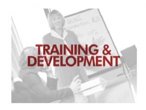 Learning Talent Development Learning Development Learning By the