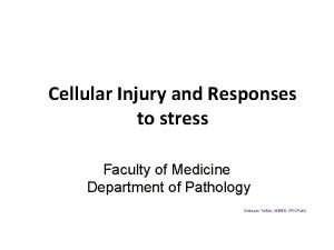 Cellular Injury and Responses to stress Faculty of