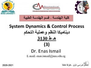 Time Domain System Dynamic Response Time domain dynamic