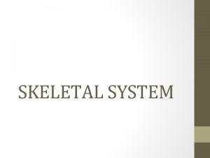 SKELETAL SYSTEM BASICS OF BONES Introduction A Bones