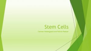 Stem Cells Carmen Vestergaard and Felicia Poelzer What