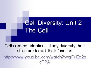 Cell Diversity Unit 2 The Cells are not