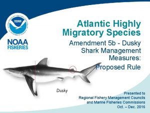 Atlantic Highly Migratory Species Amendment 5 b Dusky