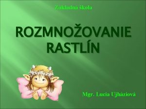 Zkladn kola ROZMNOOVANIE RASTLN Mgr Lucia Ujhziov A