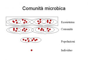 Comunit microbica Ecosistema Comunit Popolazioni Individuo Interazioni allinterno