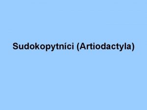 Sudokopytnci Artiodactyla Charakteristika opraj se na kad noze