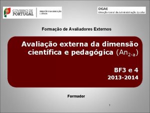 Formao de Avaliadores Externos Avaliao externa da dimenso