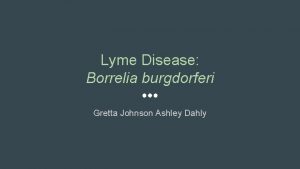 Lyme Disease Borrelia burgdorferi Gretta Johnson Ashley Dahly