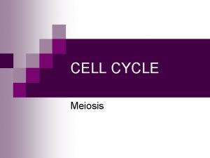 CELL CYCLE Meiosis Homologous Chromosomes n n Homologous