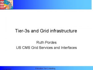 Tier3 s and Grid infrastructure Ruth Pordes US