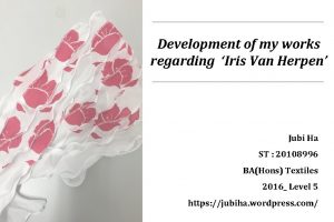 Development of my works regarding Iris Van Herpen