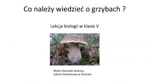 Co naley wiedzie o grzybach Lekcja biologii w