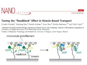 What is Roadblock gliding assays stepping assays kinesin