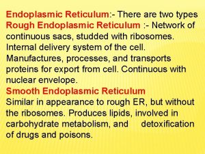 Endoplasmic Reticulum There are two types Rough Endoplasmic