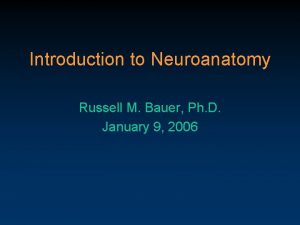 Introduction to Neuroanatomy Russell M Bauer Ph D