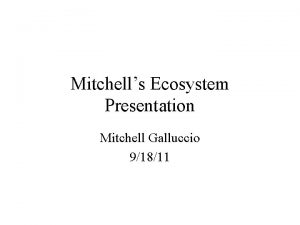 Mitchells Ecosystem Presentation Mitchell Galluccio 91811 Topics 1