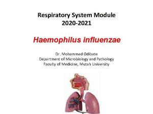 Respiratory System Module 2020 2021 Haemophilus influenzae Dr