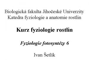 Biologick fakulta Jihoesk Univerzity Katedra fyziologie a anatomie