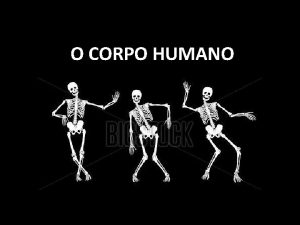 O CORPO HUMANO O corpo humano constitudo por