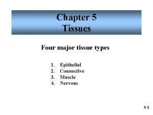 Chapter 5 Tissues Four major tissue types 1