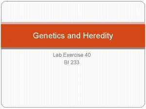 Genetics and Heredity Lab Exercise 40 BI 233