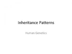 Inheritance Patterns Human Genetics Chromosomes Two Types Autosomes