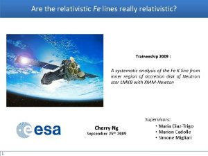 Are the relativistic Fe lines really relativistic Traineeship