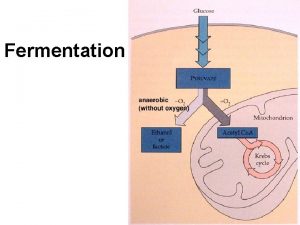 Fermentation Glycolysis Review Glycolysis and Respiration 2 O