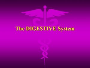 The DIGESTIVE System 1 Digestion The breaking down