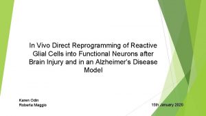 In Vivo Direct Reprogramming of Reactive Glial Cells