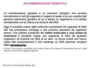 RICOMBINAZIONE GENETICA La ricombinazione genetica un processo biologico